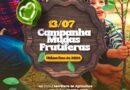 Campanha de Mudas Frutíferas 2024