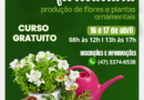 Curso de Floricultura – Produção de flores e plantas ornamentais