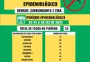 Boletim Epidemiológico da Dengue, 08 de março de 2025.